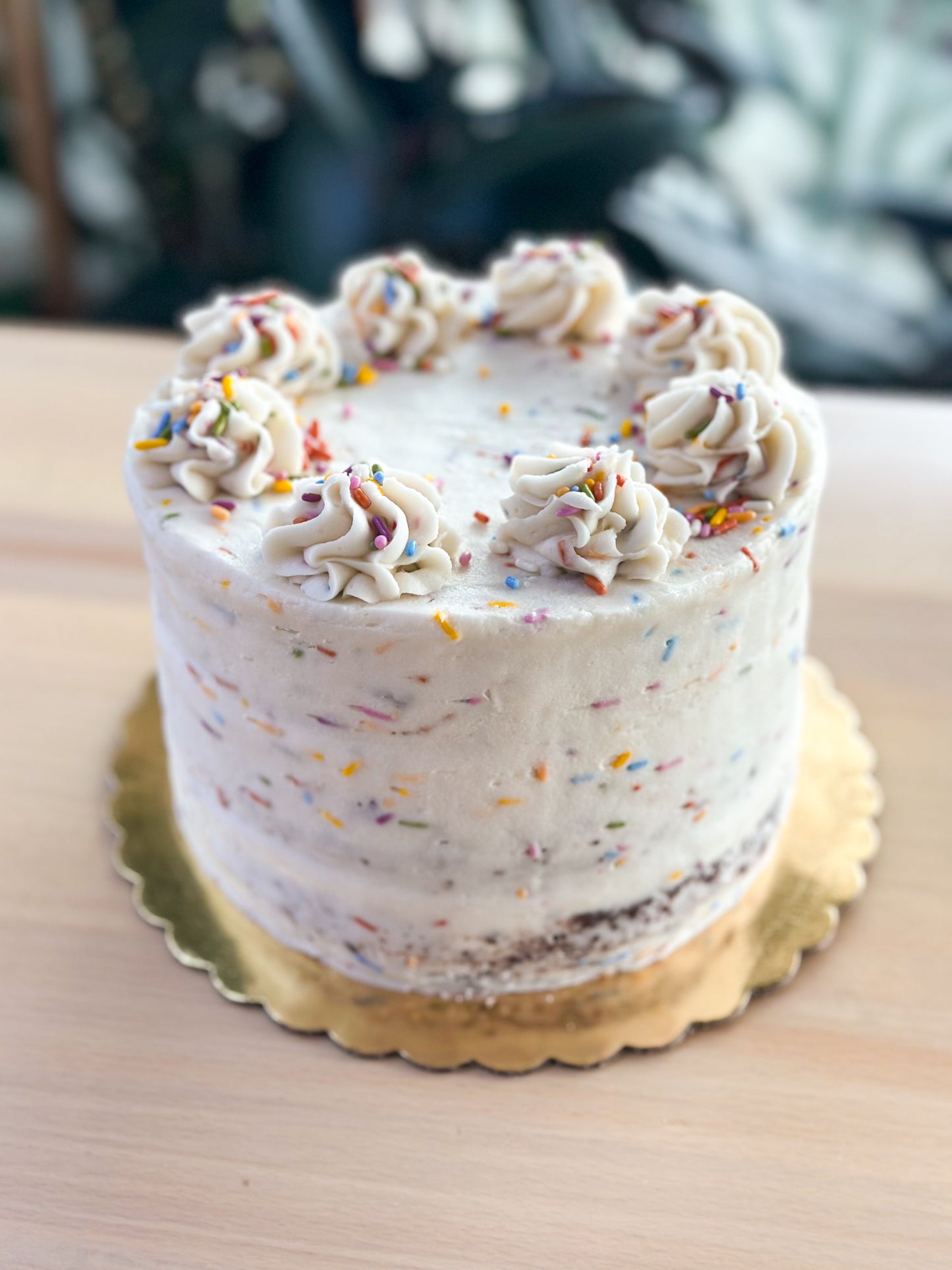Chocolate Funfetti Cake