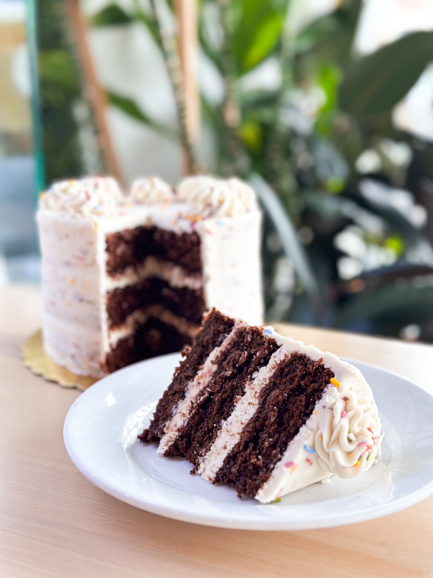 Chocolate Funfetti Cake
